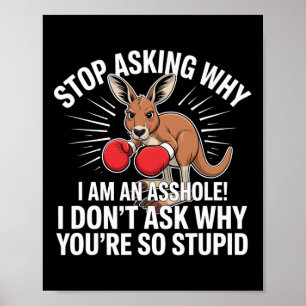 Poster Arrêtez De Demander Pourquoi Je Suis Un Trou