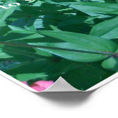 Poster Arrêtez de sentir les fleurs (Coin)