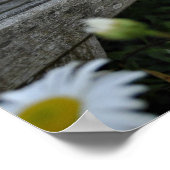 Poster Arrêtez De Sentir Les Salissures (Coin)