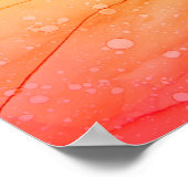 Poster arrière - plan Abstrait coloré arc-en-ciel, papier (Coin)