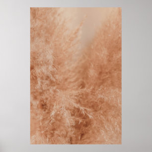 Poster Arrière - plan Brown