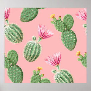Poster Arrière - plan de cactus à fleurs roses