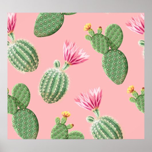 Poster Arrière - plan de cactus à fleurs roses (Devant)