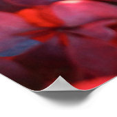 Poster Arrière - plan de feuillage d'automne rouge violet (Coin)