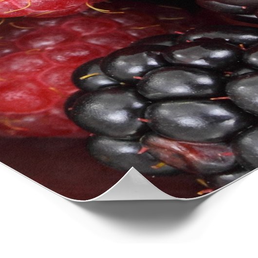 Poster Arrière - plan de fruits de forêt (Coin)