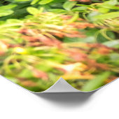 Poster Arrière - plan de jardin (Coin)