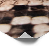 Poster arrière - plan de la texture de la peau du serpent (Coin)