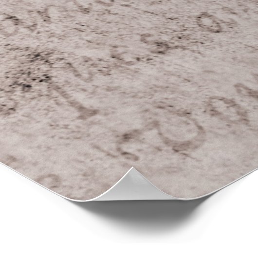 Poster Arrière - plan de papier de parchemin de texte vin (Coin)