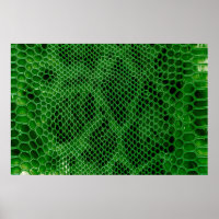 Arrière - plan de peau de serpent