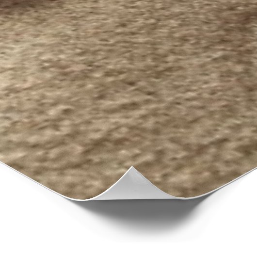 Poster Arrière - plan De Plage De Sable Avec Coquillages (Coin)