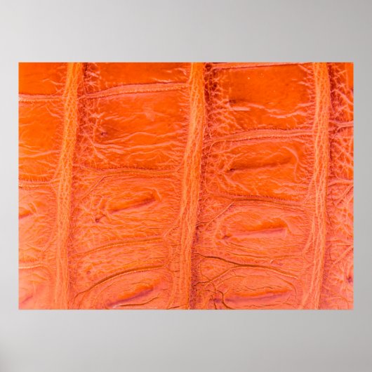 Poster Arrière - plan de texture de peau du ventre crocod (Devant)