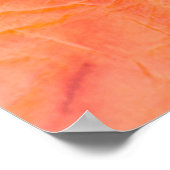 Poster Arrière - plan de texture de peau du ventre crocod (Coin)