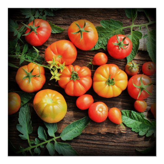 Poster Arrière - plan de tomates (Devant)