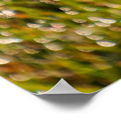 Poster Arrière - plan d'herbe fraîche vert printemps, ave (Coin)