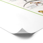 Poster Arrière - plan du graphique Dinosaur (Coin)