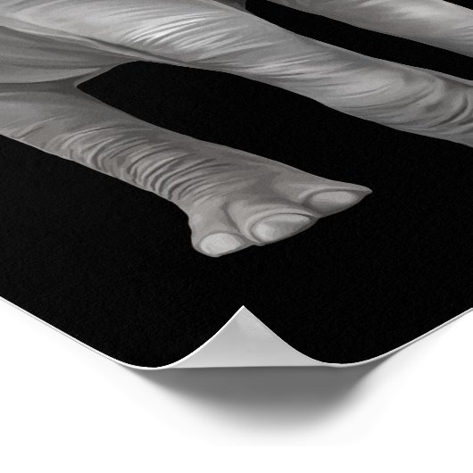 Poster arrière - plan éléphant réaliste (Coin)