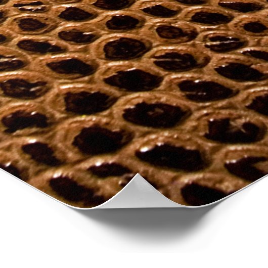 Poster arrière - plan en cuir foncé (Coin)