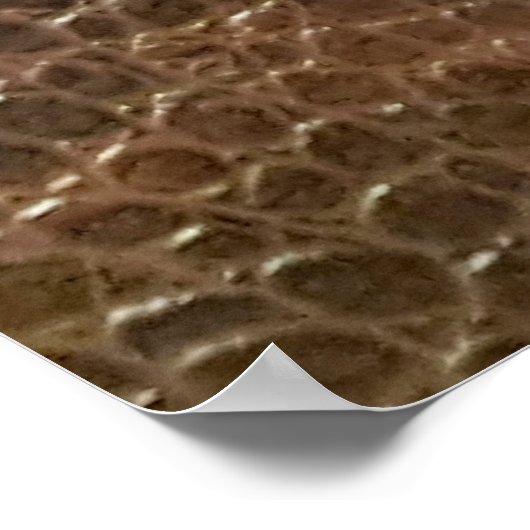 Poster Arrière-plan en cuir véritable texture, embo (Coin)