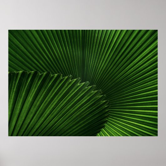 Poster Arrière - plan feuille (Devant)