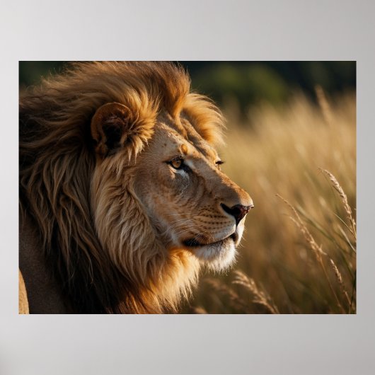 Poster Arrière - plan Lion Majestic (Devant)