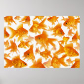 Poster Arrière - plan montrant un grand groupe de poisson (Devant)