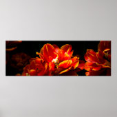 Poster Arrière - plan rouge tulipes foncé (Devant)