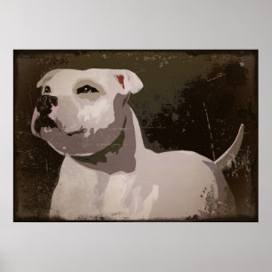 Poster Arrière - plan urbain de bull-terrier blanc du