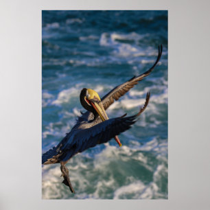 Poster Arrivée pour un atterrissage