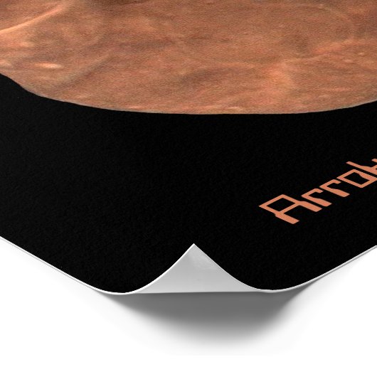 Poster Arrokoth Kuiper Belt, objet (Coin)