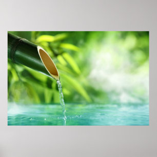 Poster Arrosez le miracle de toute la vie par le