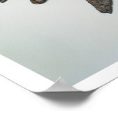 Poster Arrowheads, Iron Age (Coin)