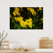 Poster Arrowleaf Fleur sauvage Jaune Arrowley Abstrait (Cuisine)