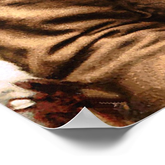 Poster Arrowmaker, un courageux Ojibwa, 1903 (Coin)