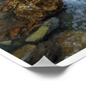 Poster Arroyo Flow (Coin)