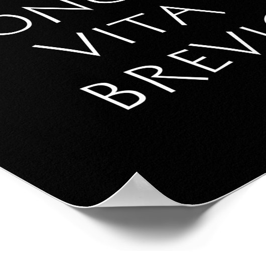 Poster Ars Longa Vita Brevis (Coin)