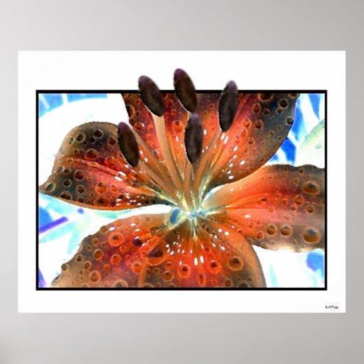 Poster Art 3D Lilie (Devant)