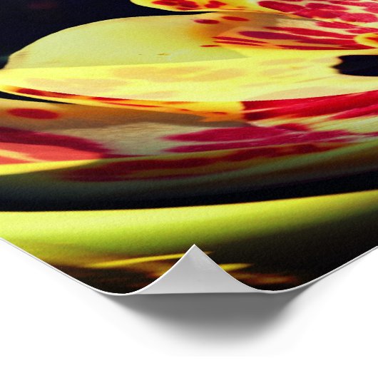 Poster Art Abstrait Lily tacheté (Coin)