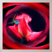 Poster Art Abstrait rose Rosebud (Devant)