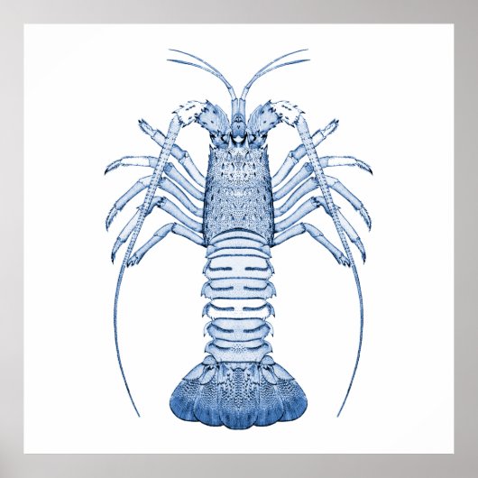 Poster Art aquatique ~ Homards (Devant)