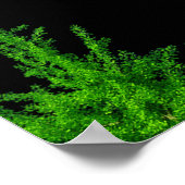 Poster Art Bell (Coin)