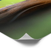 Poster Art Birds (Coin)