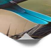 Poster Art Birds (Coin)