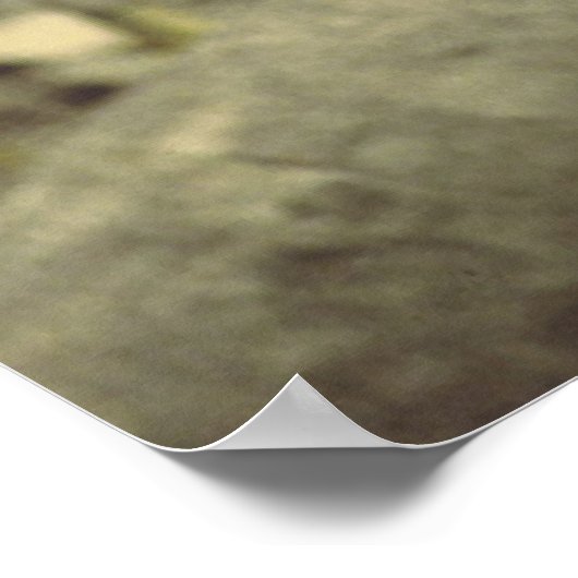 Poster Art Black_jaguar (Coin)