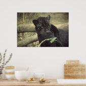 Poster Art Black_jaguar (Cuisine)