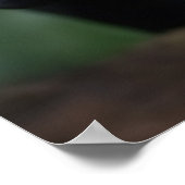 Poster Art Black Leopard (Coin)