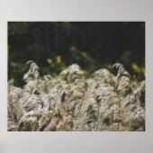 Poster Art botanique abstrait moderne – Formes de la natu (Devant)