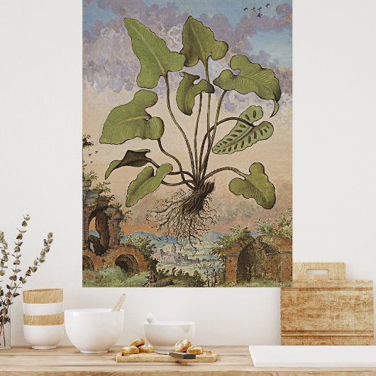 Poster Art Botanique Ancien Hémionite Fern (Cuisine)
