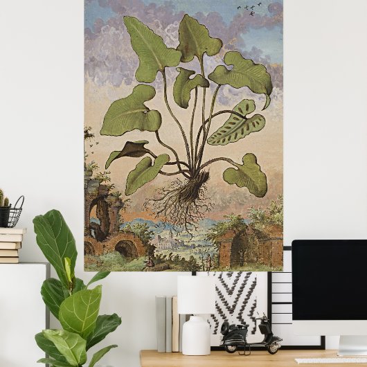 Poster Art Botanique Ancien Hémionite Fern (Bureau à domicile)