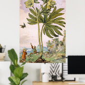 Poster Art botanique antique Hélibore vert (Bureau à domicile)