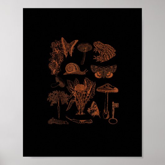 Poster Art botanique, champignons de grenouille, esthétiq (Devant)
